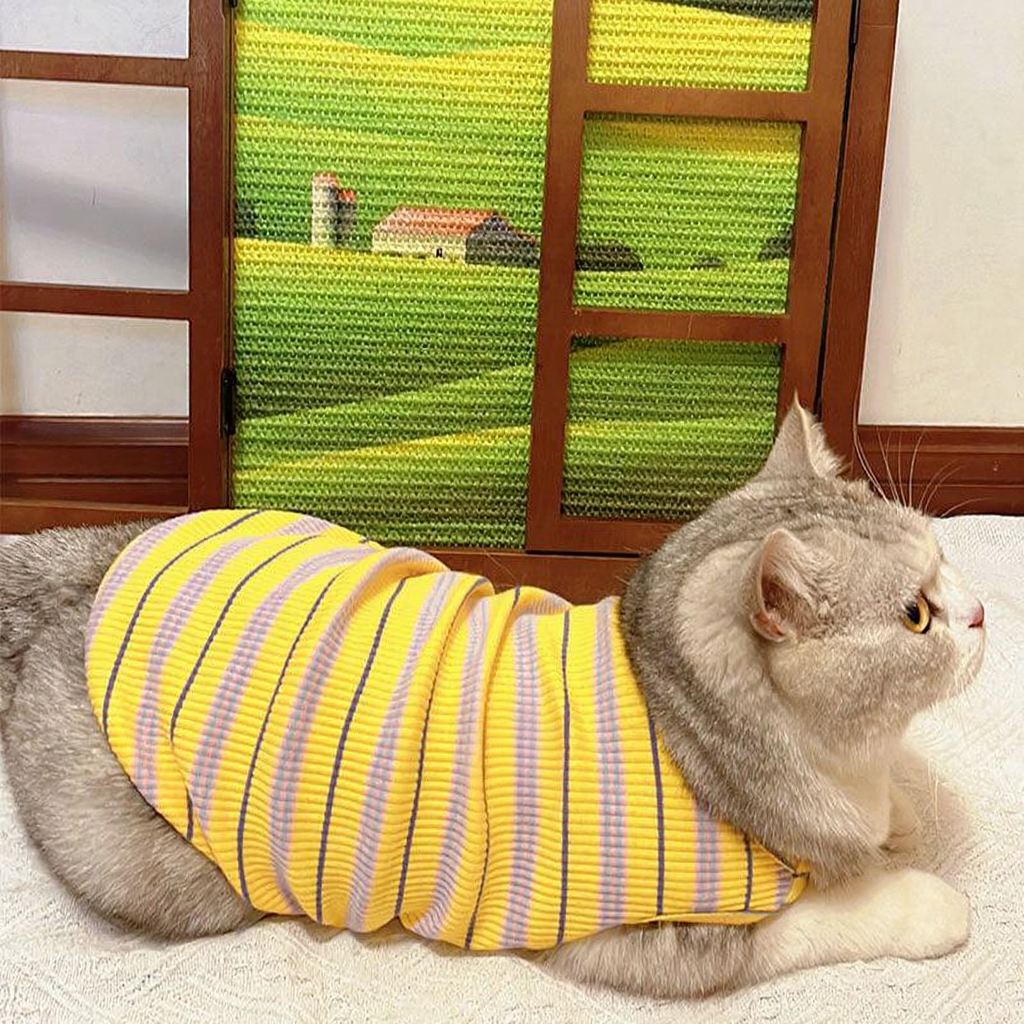 Catvera Artistic Window Cat Scratcher - Image 12|||PROMPT|||Cleaned image. Original analysis: Found 1 brand logo on the product itself - a red oval badge with brand name on the cat's clothing