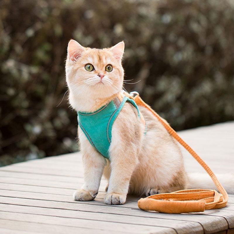 Catvera Escape Proof Cat Harness - Image 10|||PROMPT|||Original clean product image