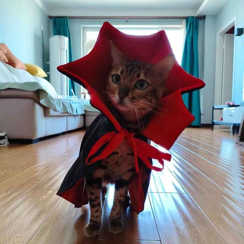 Catvera Halloween Vampire Cat Cape - Image 8|||PROMPT|||Original clean product image