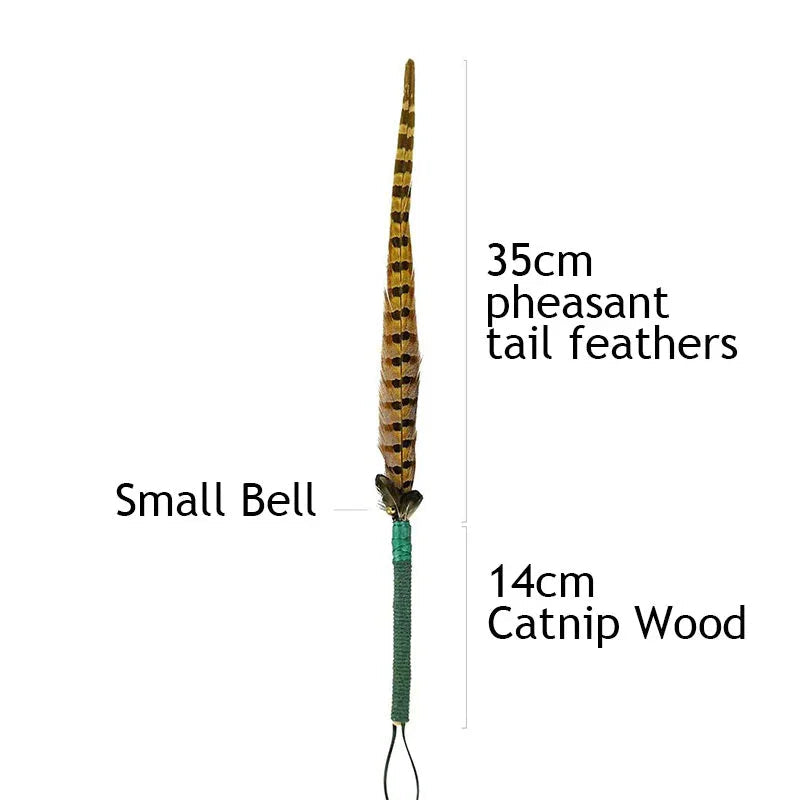 Catvera Natural Pheasant Feather Wand - Image 8|||PROMPT|||Original clean product image