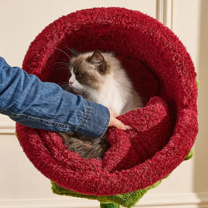 Catvera Plant Monster Cat Tree Tower - Image 15|||PROMPT|||Original clean product image