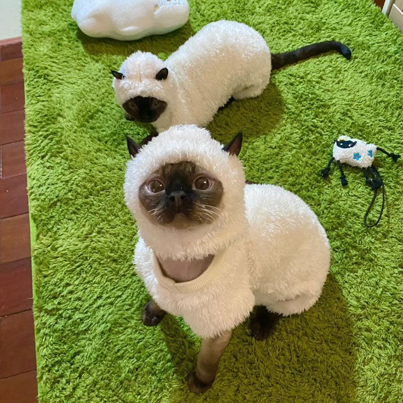Catvera Sheep Halloween Costume Sphynx - Image 14|||PROMPT|||Original clean product image