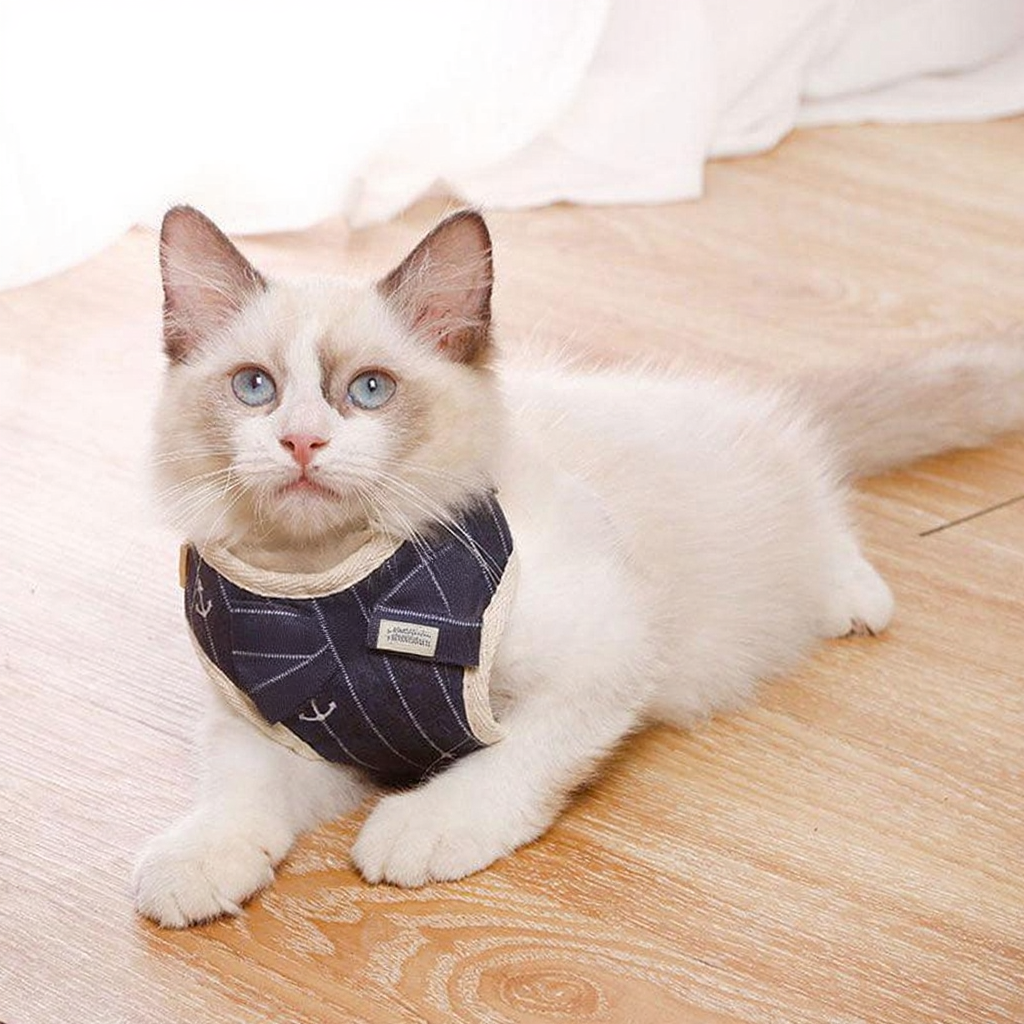 Catvera Striped Bowtie Cat Harness Vest - Image 9|||PROMPT|||Cleaned image. Original analysis: Found branding on the cat's harness/vest - there appears to be a logo or design patch with what looks like an envelope or mail motif and possibly text on the dark navy/black harness worn by the cat