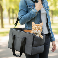 Catvera Console Cat Car Bed