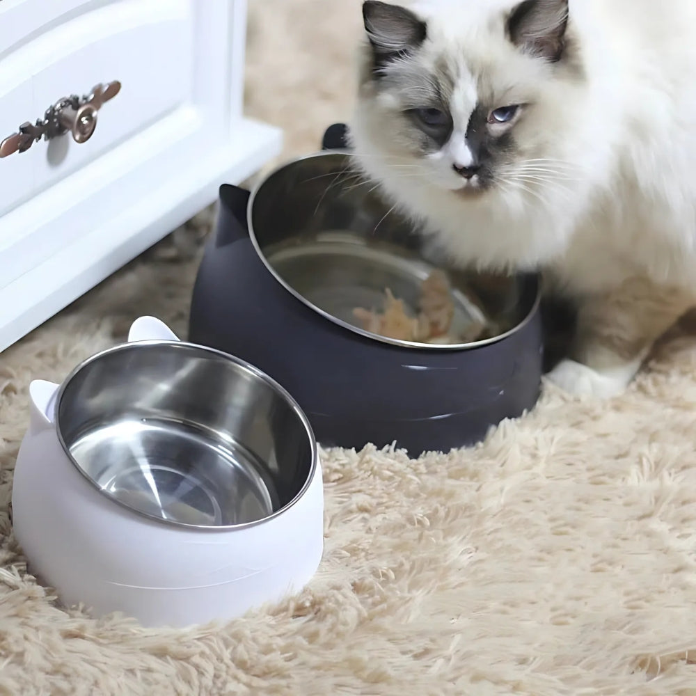 Catvera Tilted Stainless Steel Bowl