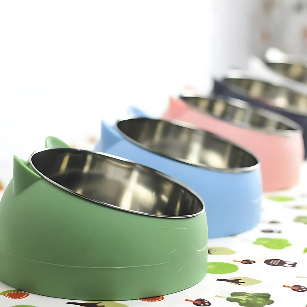 Catvera Tilted Stainless Steel Bowl