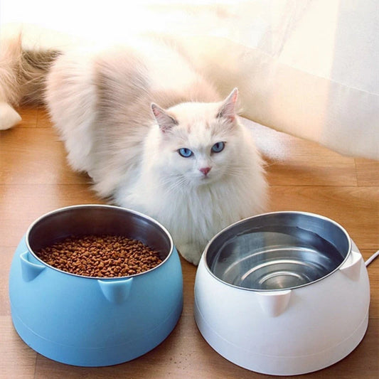 Catvera Tilted Stainless Steel Bowl