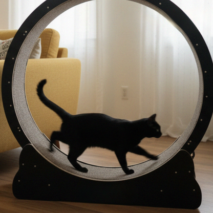 Catvera Cat Exercise Wheel