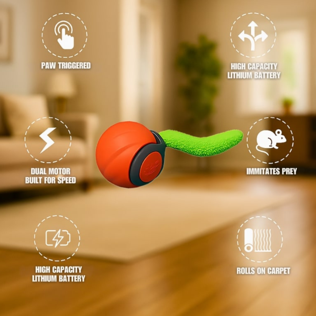 Catvera Smart Motion Ball Interactive