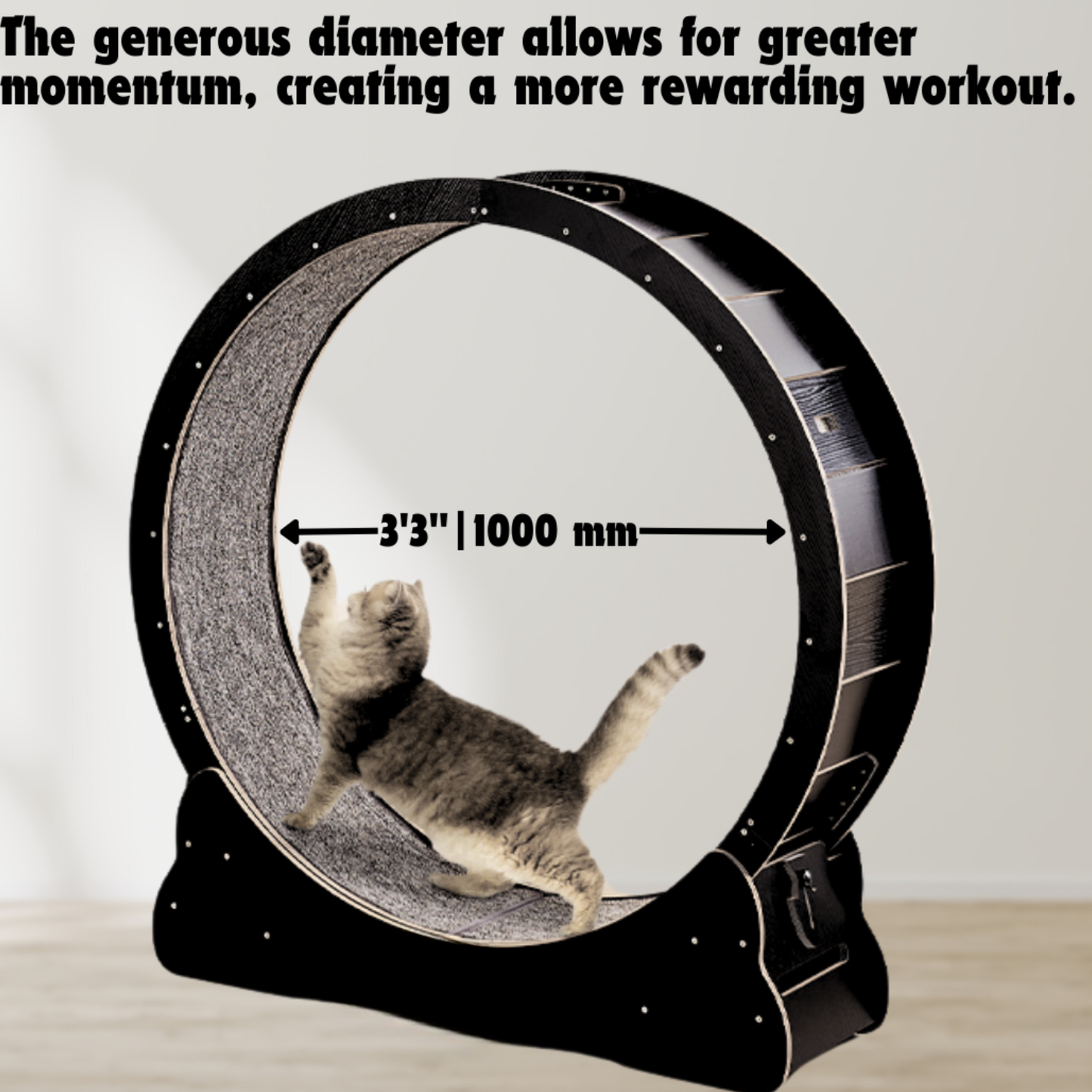 Catvera Cat Exercise Wheel