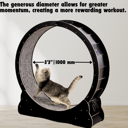 Catvera Cat Exercise Wheel