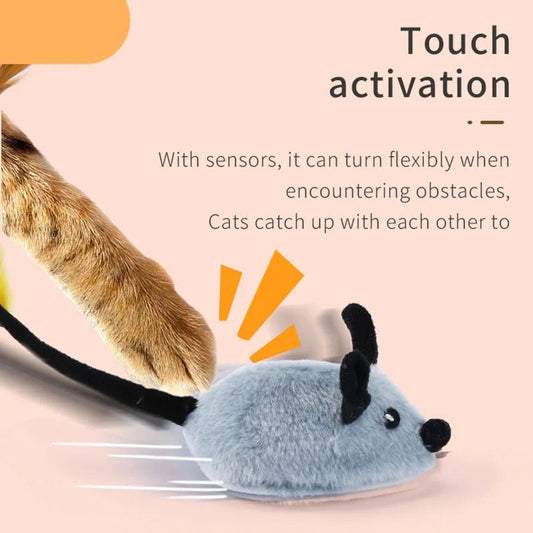Catvera Mouse Motion Interactive Cat Toy