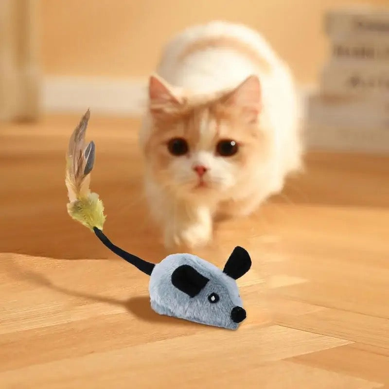Catvera Mouse Motion Interactive Cat Toy