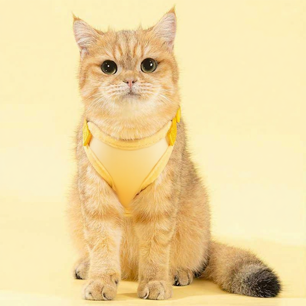 Catvera 3D Animal Escape Proof Harness - Image 1|||PROMPT|||Cleaned image. Original analysis: Found 1 brand name on the harness: 'M' logo/letter visible on the yellow harness worn by the cat