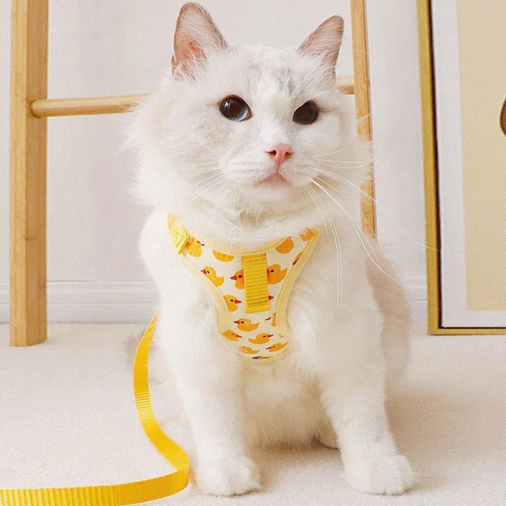 Catvera 3D Animal Escape Proof Harness - Image 12|||PROMPT|||Cleaned image. Original analysis: found 1 brand logo on the harness/vest worn by the cat