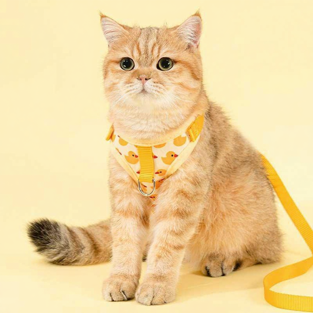Catvera 3D Animal Escape Proof Harness - Image 7|||PROMPT|||Cleaned image. Original analysis: found 1 watermark text and 1 brand name on the harness/collar worn by the cat