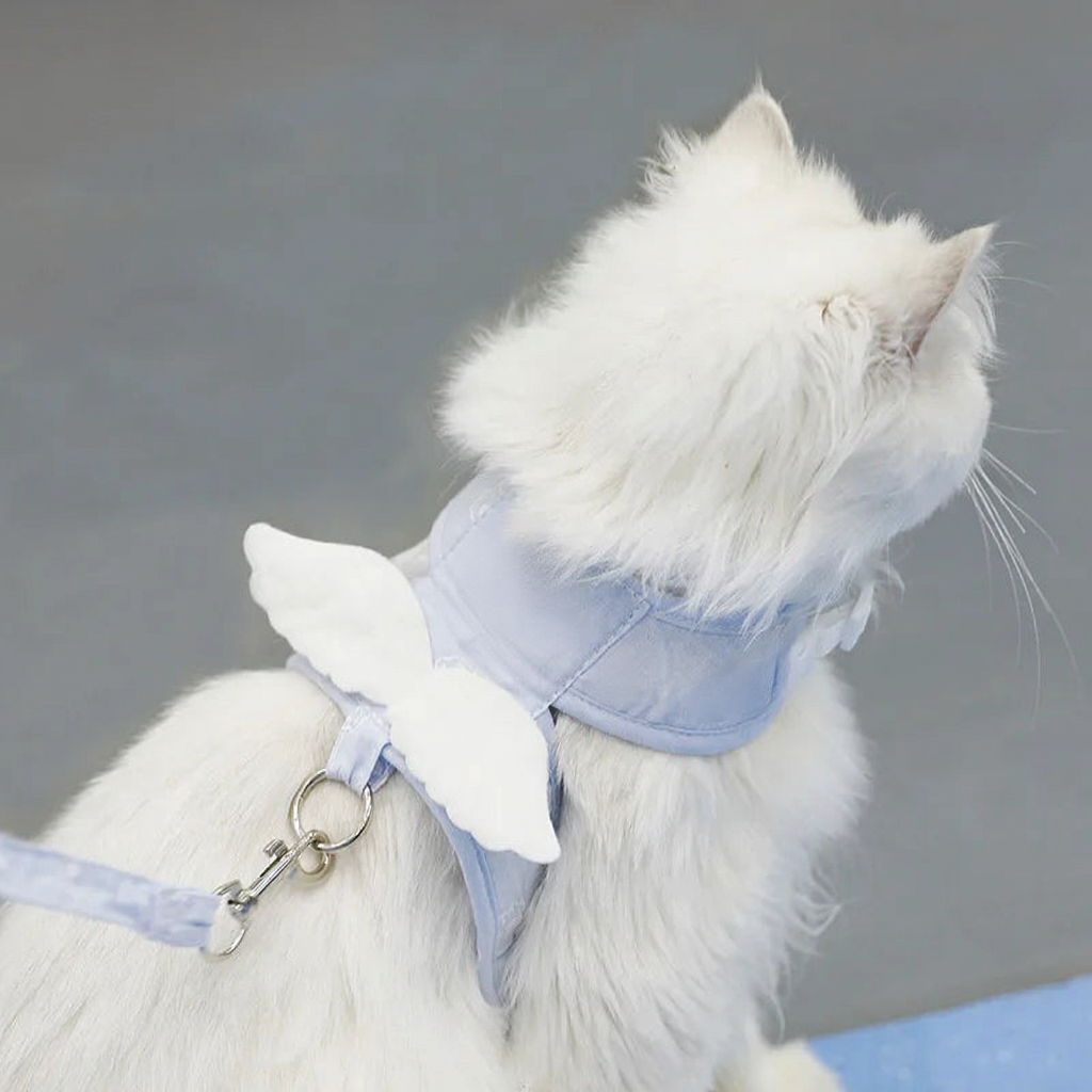 Catvera Angel Wing Pet Harness Set - Image 2|||PROMPT|||Cleaned image. Original analysis: Found 1 watermark on the product - a small circular logo/emblem visible on the light blue harness/vest near the chest area of the cat