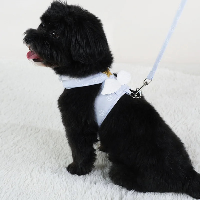 Catvera Angel Wing Pet Harness Set - Image 4|||PROMPT|||Original clean product image
