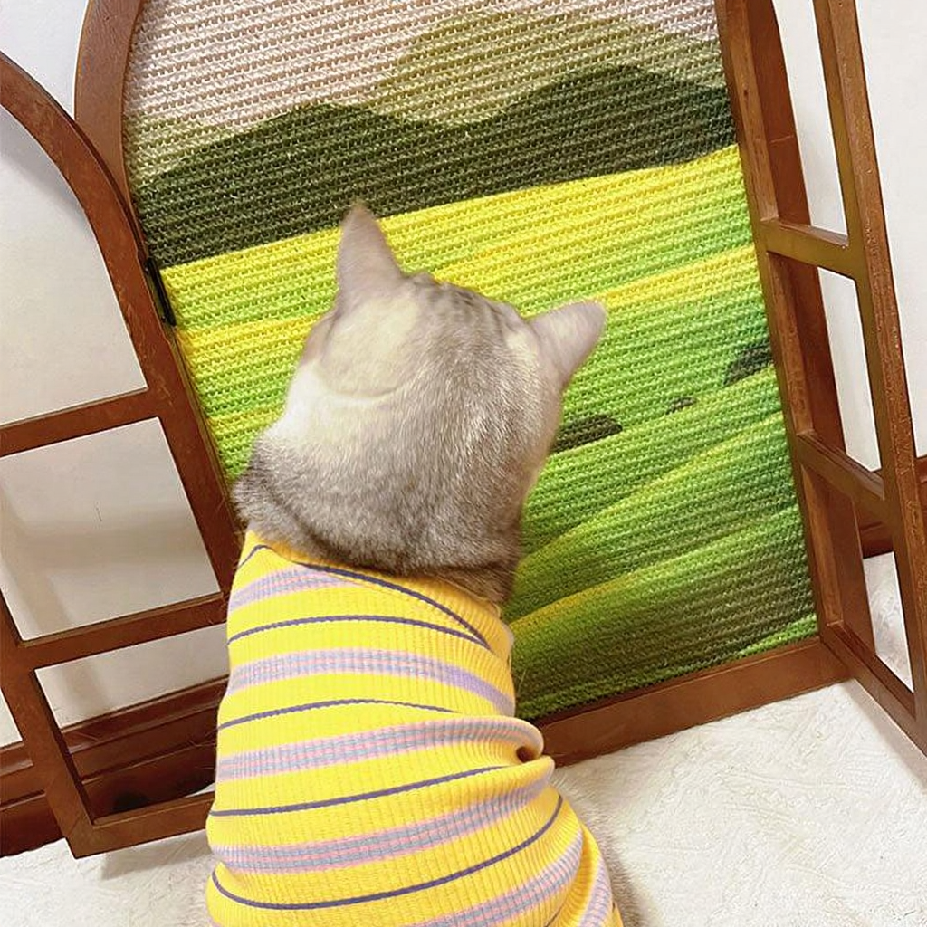 Catvera Artistic Window Cat Scratcher - Image 11|||PROMPT|||Cleaned image. Original analysis: found 1 brand logo on the cat's clothing