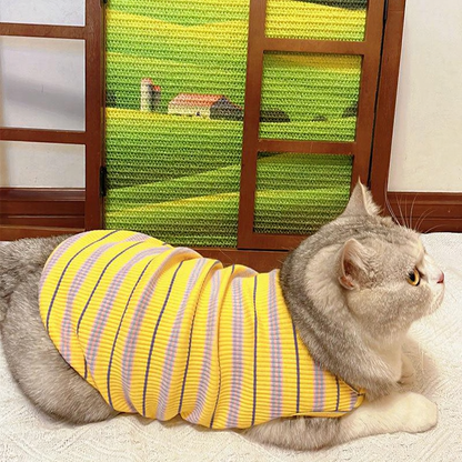 Catvera Artistic Window Cat Scratcher - Image 12|||PROMPT|||Cleaned image. Original analysis: Found 1 brand logo on the product itself - a red oval badge with brand name on the cat's clothing