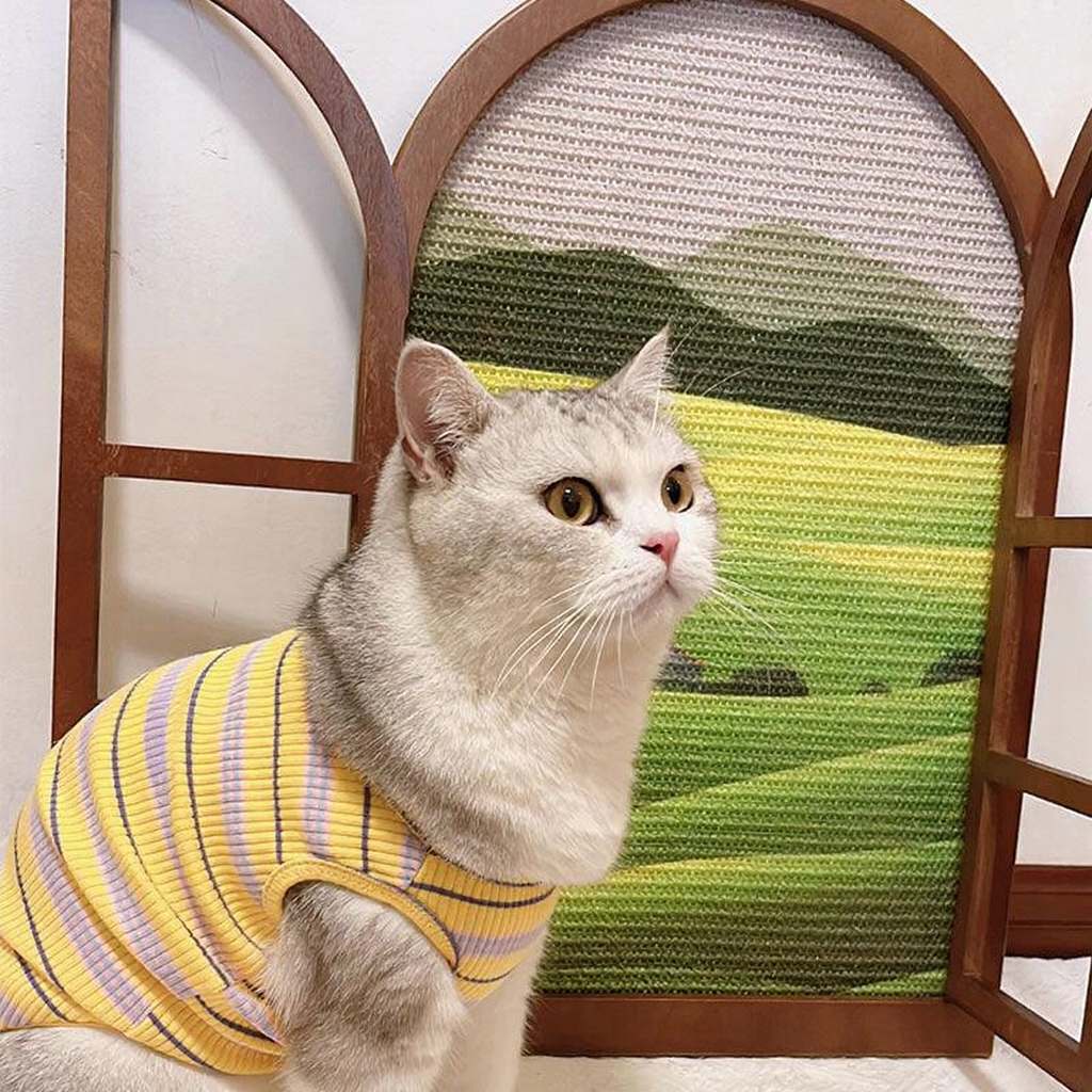 Catvera Artistic Window Cat Scratcher - Image 8|||PROMPT|||Cleaned image. Original analysis: found 1 brand logo on the cat's clothing - a red circular badge/logo on the yellow striped shirt