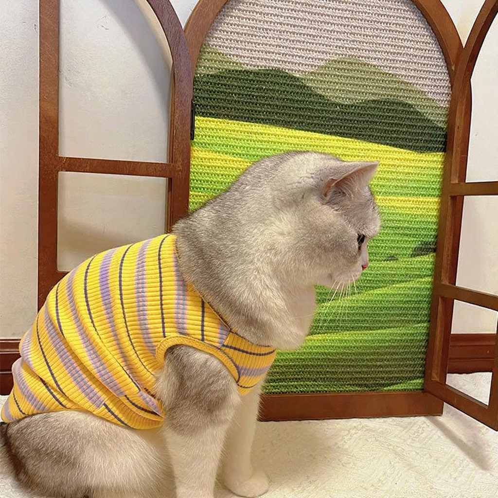 Catvera Artistic Window Cat Scratcher - Image 9|||PROMPT|||Cleaned image. Original analysis: Found 1 brand logo on the cat's garment - a red circular badge with white text on the yellow striped shirt