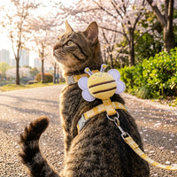 Catvera Bee H-Shaped Cat Harness - Main Product Image