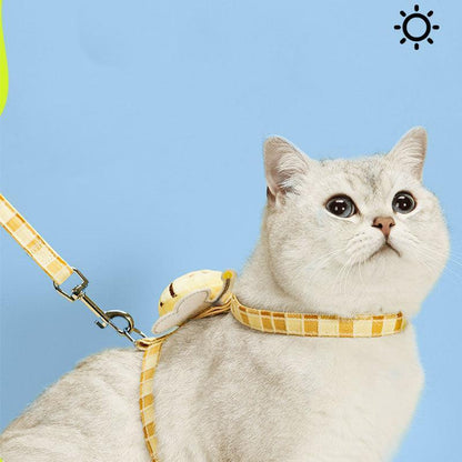 Catvera Bee Harness Leash Set - Image 12|||PROMPT|||Original clean product image