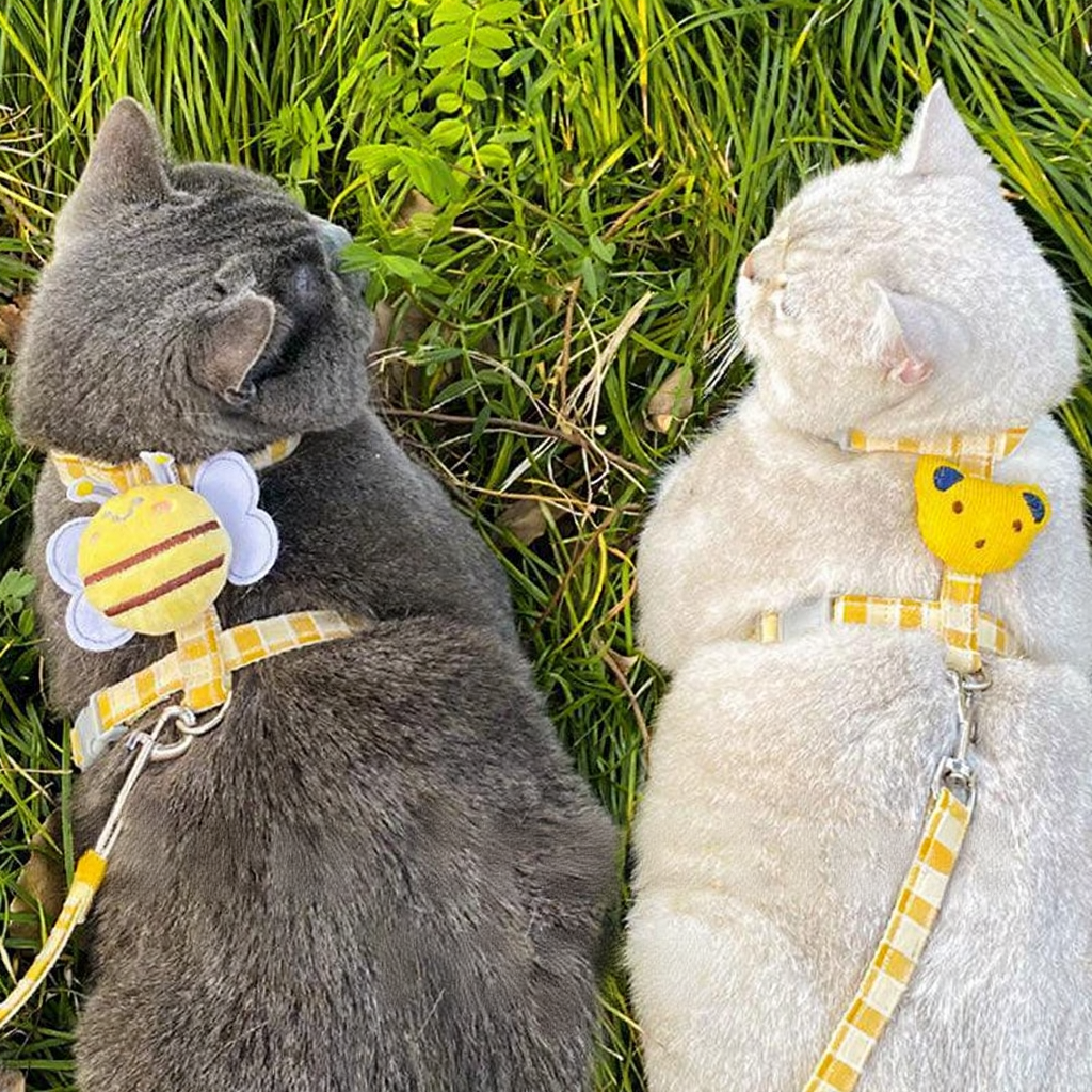 Catvera Bee Harness Leash Set - Image 13|||PROMPT|||Cleaned image. Original analysis: found 1 text overlay watermark 'Bee traction rope' at the bottom of the image