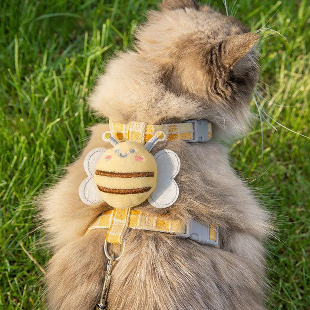 Catvera Bee Harness Leash Set - Image 8|||PROMPT|||Cleaned image. Original analysis: Found 1 text watermark 'MEWCATS' in the top left corner of the image