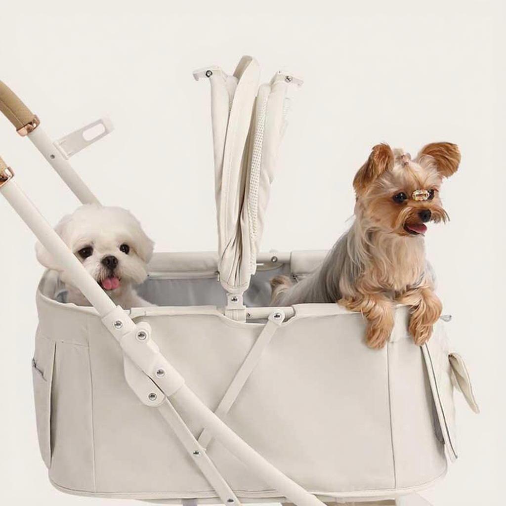 Catvera Bow Pet Stroller Carrier - Image 6|||PROMPT|||Cleaned image. Original analysis: Found 1 brand name printed on the pet carrier bag