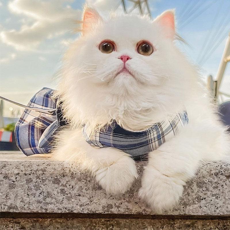 Catvera Bow Tie Cat Harness Set - Image 8|||PROMPT|||Original clean product image