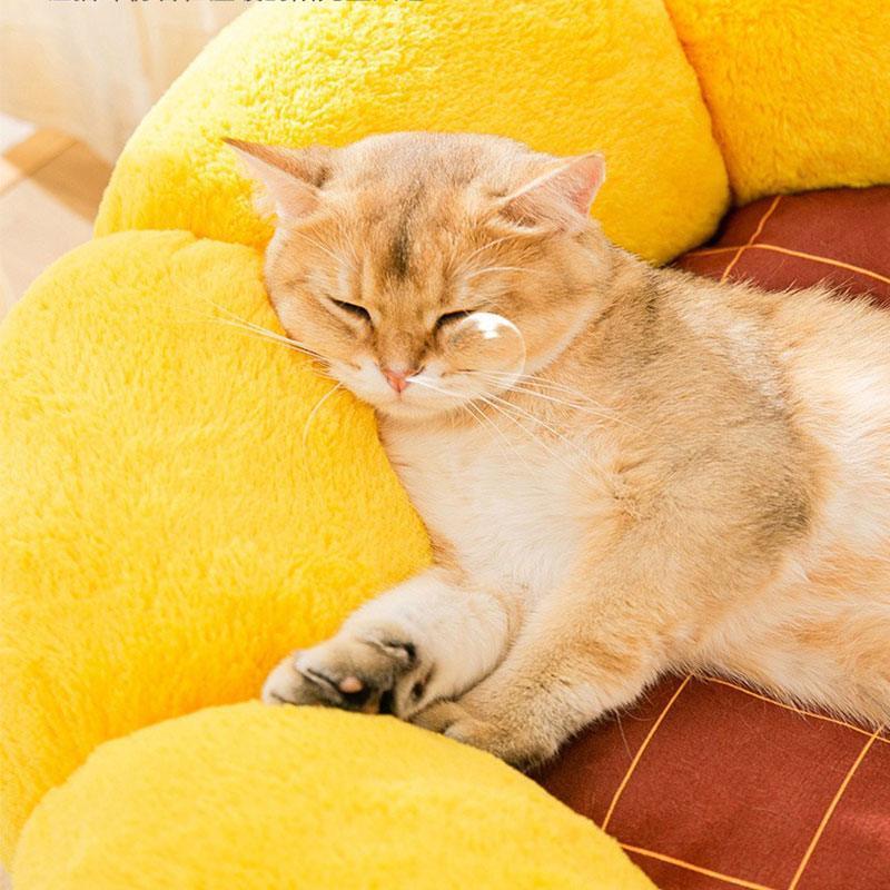 Catvera Cactus Fluffy Warm Cat Bed - Image 11|||PROMPT|||Original clean product image
