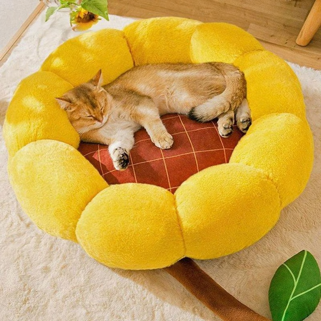 Catvera Cactus Fluffy Warm Cat Bed - Image 9|||PROMPT|||Cleaned image. Original analysis: found 1 watermark text overlay containing 'MEWCATS' in the top left corner