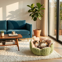 Catvera Cactus Fluffy Warm Cat Bed - Main Product Image