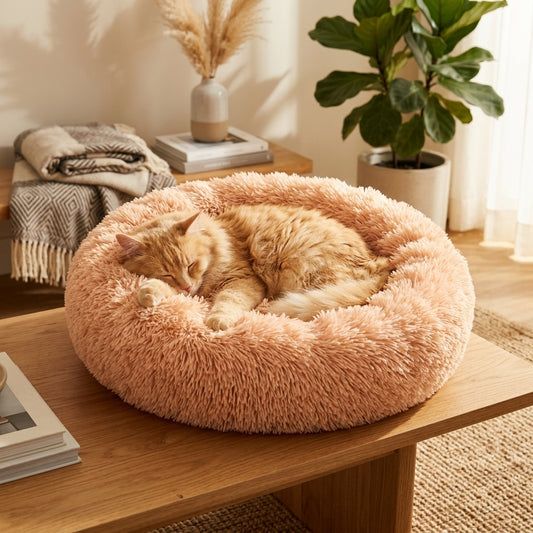 Catvera Calming Donut Cat Bed - Main Product Image