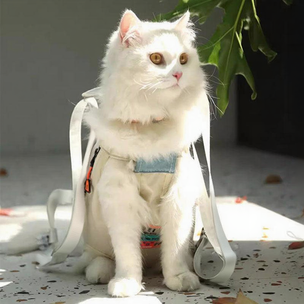 Catvera Cat Carrier Front Sling - Image 26|||PROMPT|||Original clean product image