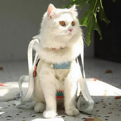 Catvera Cat Carrier Front Sling - Image 26|||PROMPT|||Original clean product image