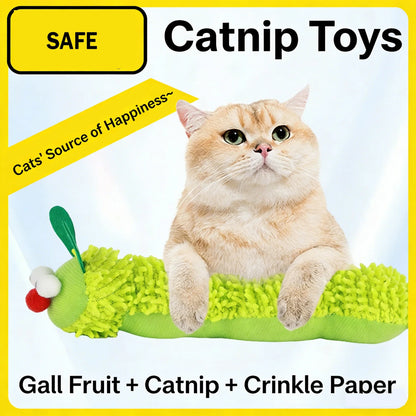 Catvera Caterpillar Cat Mint Toy - Image 1|||PROMPT|||Original clean product image