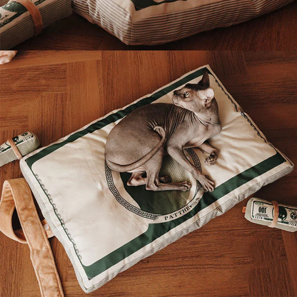 Catvera Catnip Chew Bite Pillow - Image 6|||PROMPT|||Cleaned image. Original analysis: Found multiple brand names and text elements printed on the $1000 bill design bed/blanket product, including 'FEDERAL RESERVE NOTE', 'HENRY PAULSON', 'ONE THOUSAND DOLLARS', and various serial numbers and official seals that are part of the bill design printed directly on the fabric.