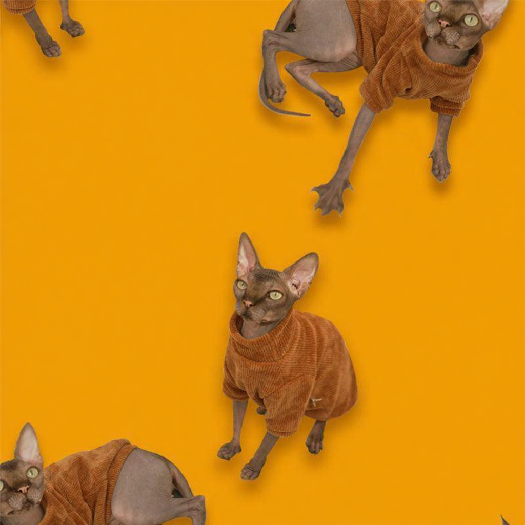 Catvera Catnip Chew Bite Pillow - Image 9|||PROMPT|||Cleaned image. Original analysis: Found multiple instances of $100 bill prop imagery with Federal Reserve seal and 'THE UNITED STATES OF AMERICA' text on paper money props scattered throughout the image