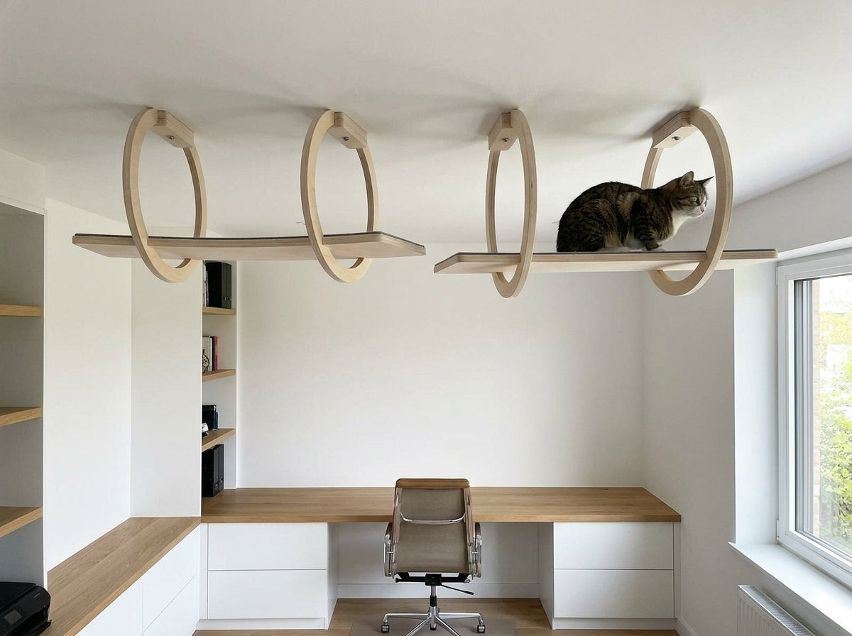 Catvera Ceiling Mounted Cat Shelving - Effortless Installation That Looks Professional
