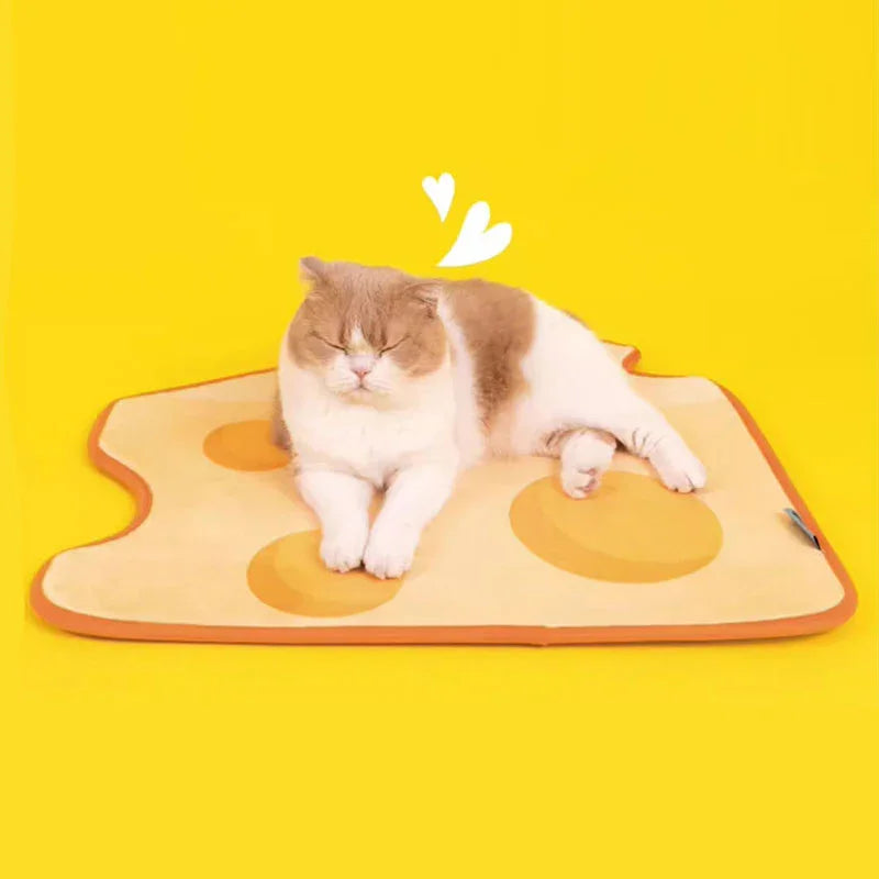Catvera Cheese Catnip Plush Toy - Image 10|||PROMPT|||Original clean product image