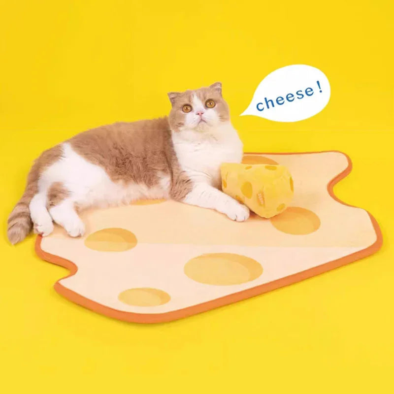 Catvera Cheese Catnip Plush Toy - Image 11|||PROMPT|||Original clean product image