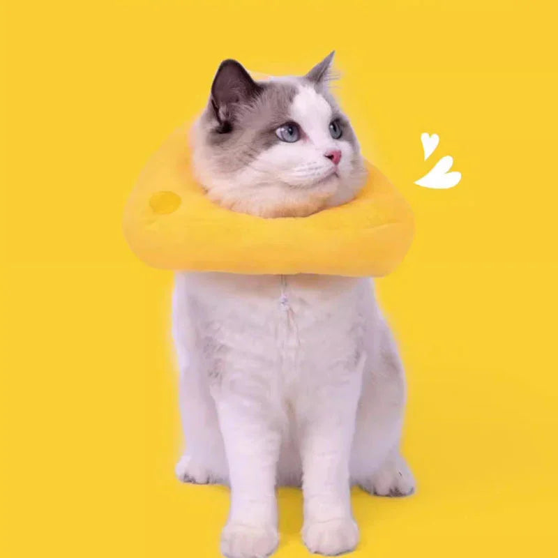 Catvera Cheese Catnip Plush Toy - Image 2|||PROMPT|||Original clean product image
