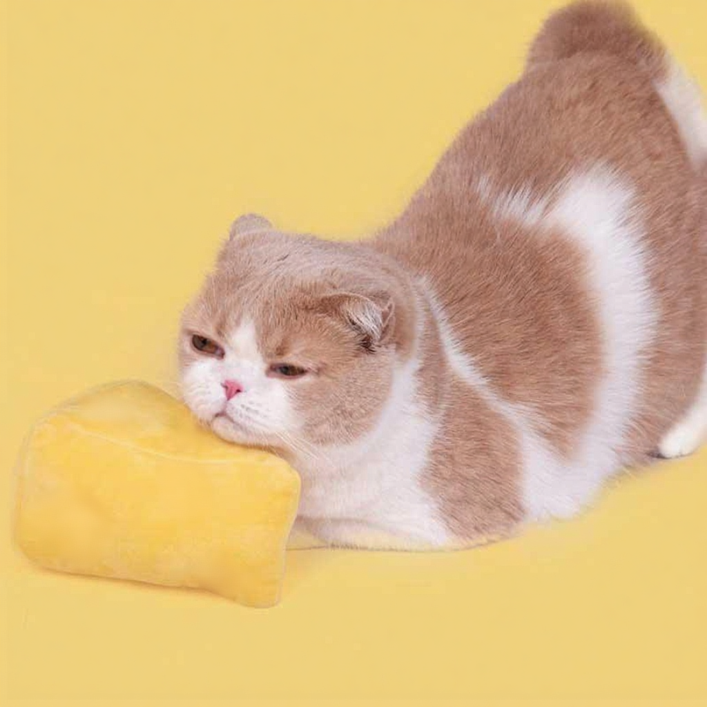 Catvera Cheese Catnip Plush Toy - Image 7|||PROMPT|||Cleaned image. Original analysis: Found 1 brand name watermark on the yellow cheese toy product