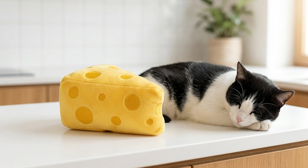 Catvera Cheese Catnip Plush Toy - Safe & Durable Design