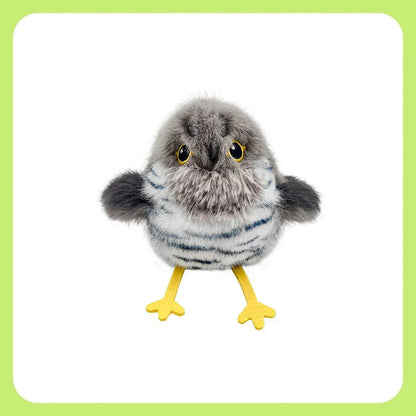 Catvera Chirping Flappy Bird Toy - Image 2|||PROMPT|||Original clean product image