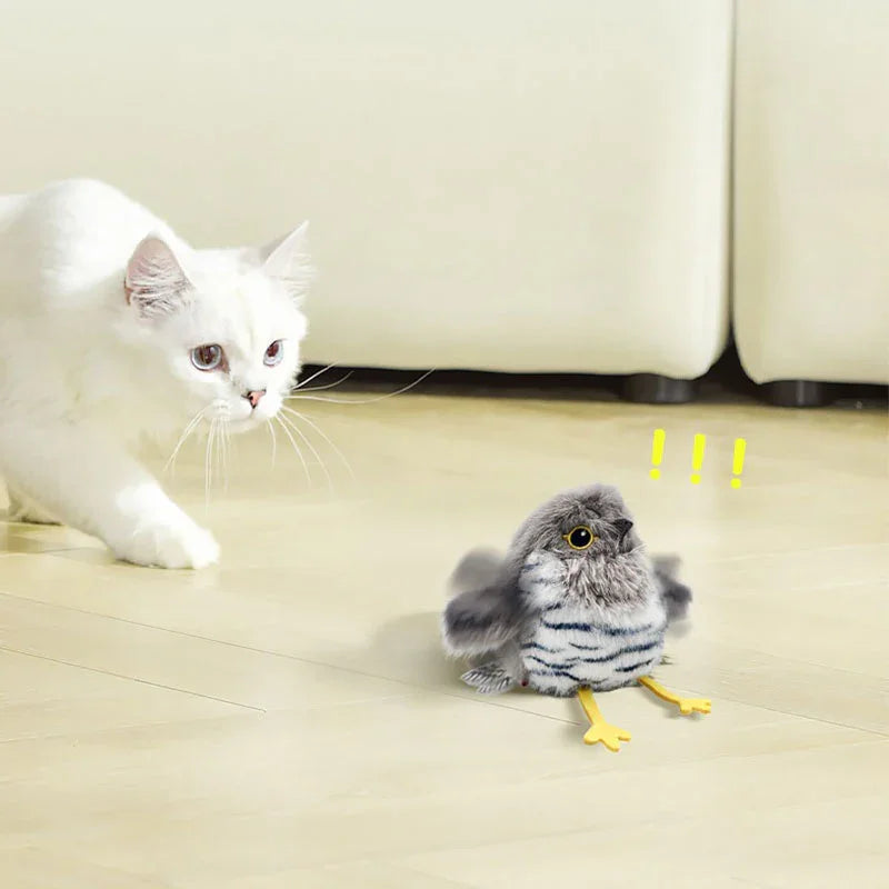 Catvera Chirping Flappy Bird Toy - Image 9|||PROMPT|||Original clean product image