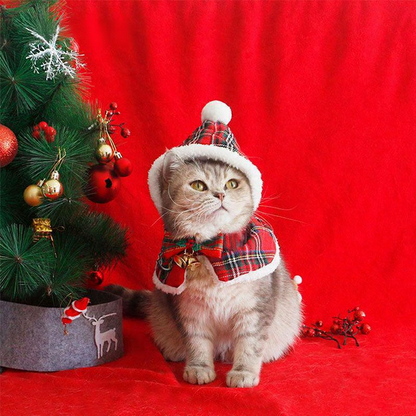 Catvera Christmas Holiday Cat Cape - Image 14|||PROMPT|||Cleaned image. Original analysis: Found 1 text watermark - 'MEWCATS' appears as white text in the top left corner of the image